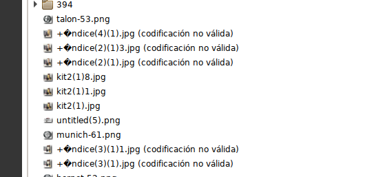 error caracteres extranhos