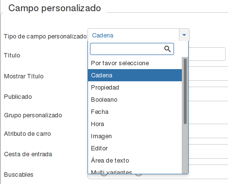 campoPersonalizadoCadena
