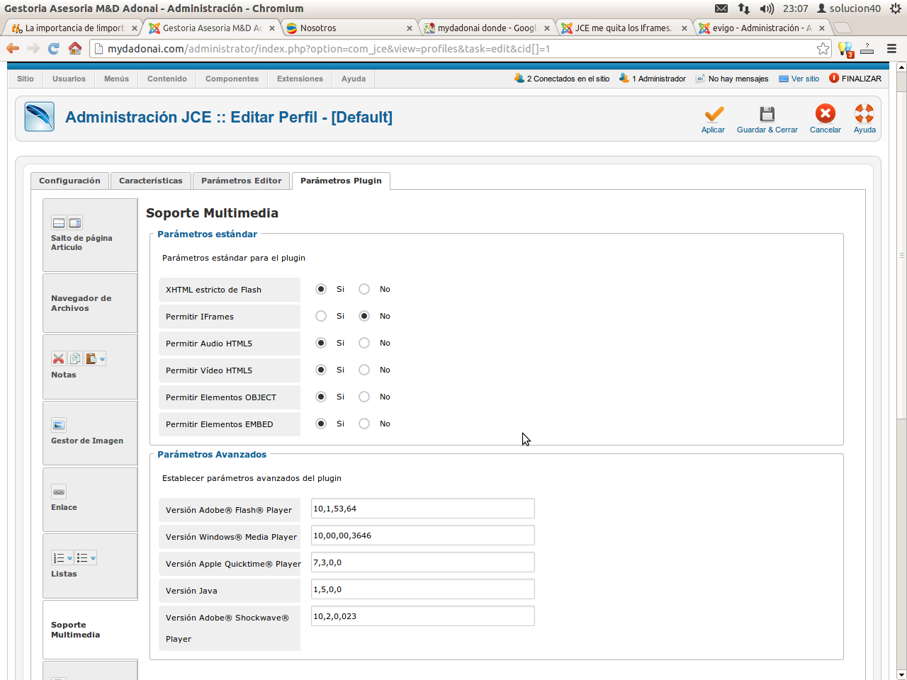 iframe-JCE